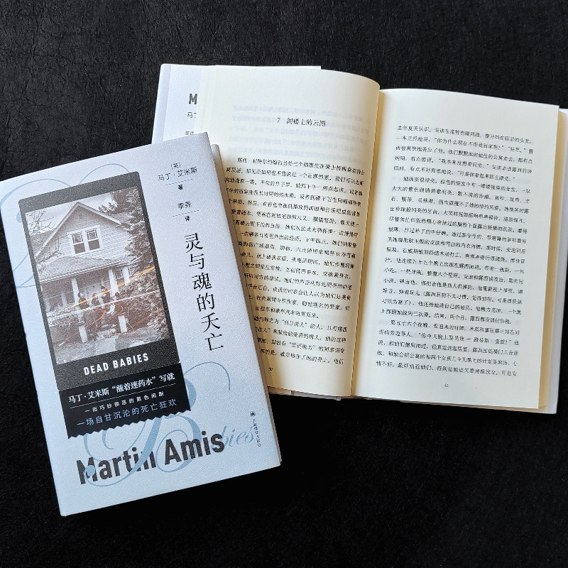 灵与魂的夭亡（马丁·艾米斯作品）