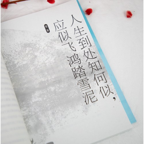 苏东坡传：人生如逆旅，我亦是行人