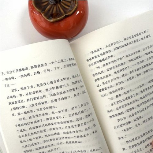 白洋淀纪事