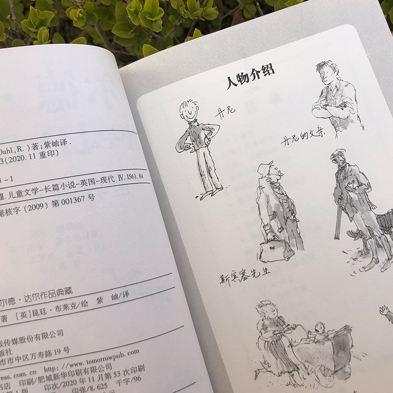 罗尔德·达尔作品典藏：世界冠军丹尼