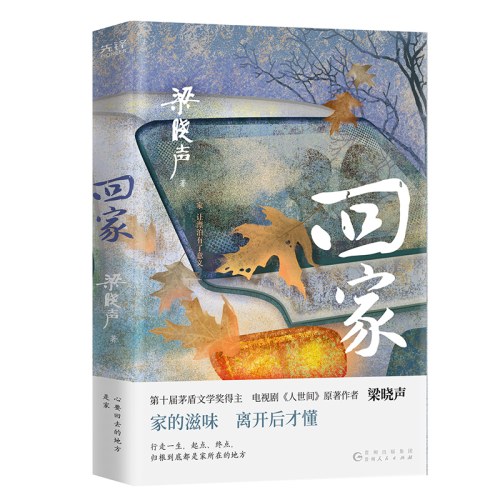梁晓声作品：回家