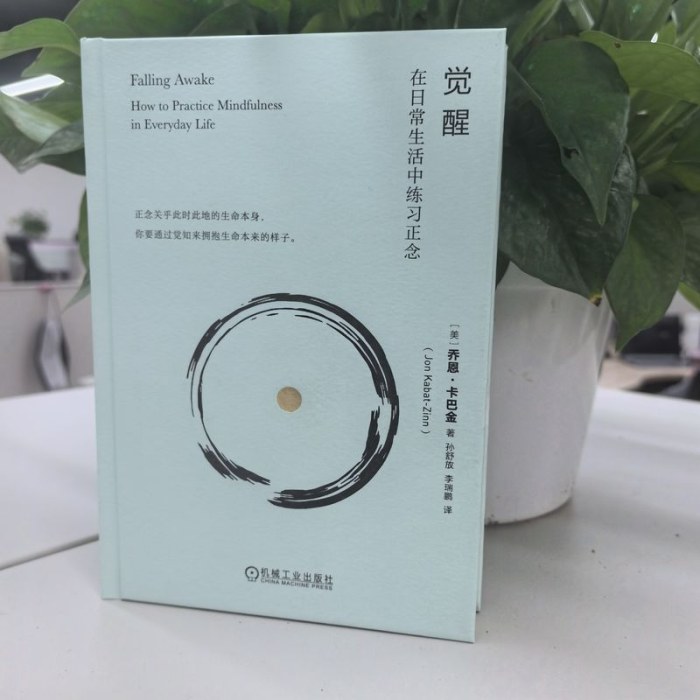 觉醒：在日常生活中练习正念 乔恩·卡巴金