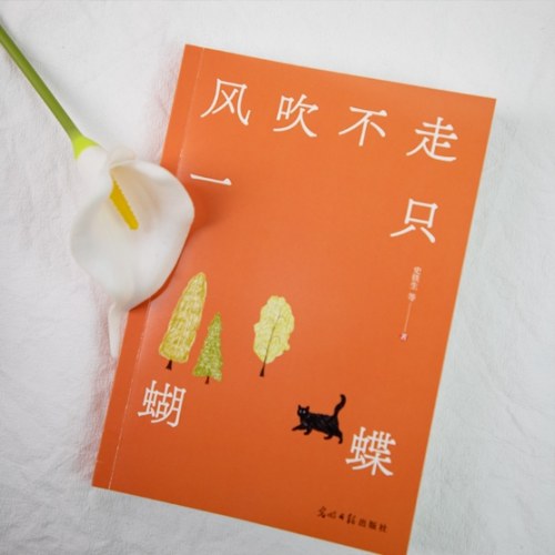 风吹不走一只蝴蝶