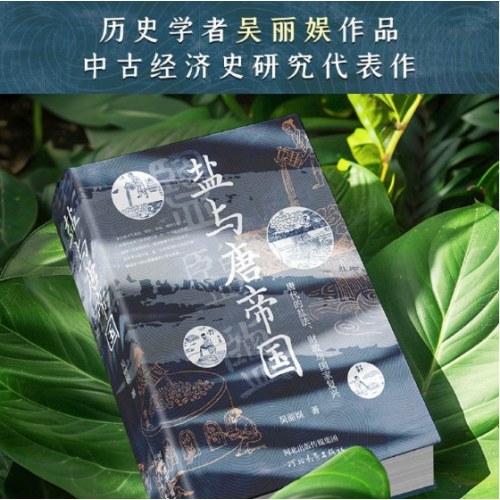 盐与唐帝国：唐代的盐法、财政与国家复兴