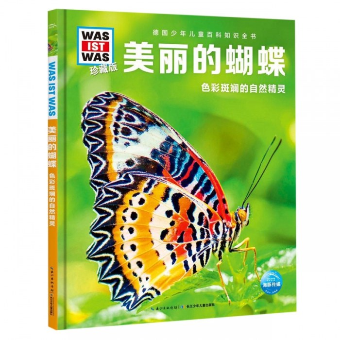 美丽的蝴蝶