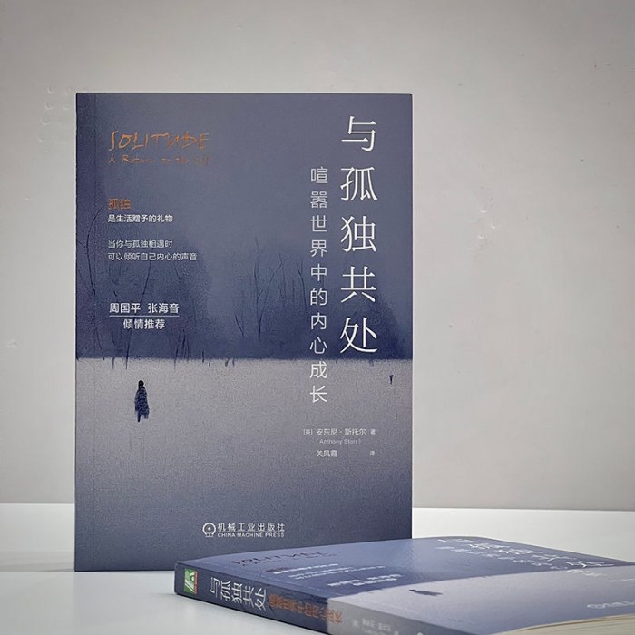 与孤独共处 喧嚣世界中的内心成长