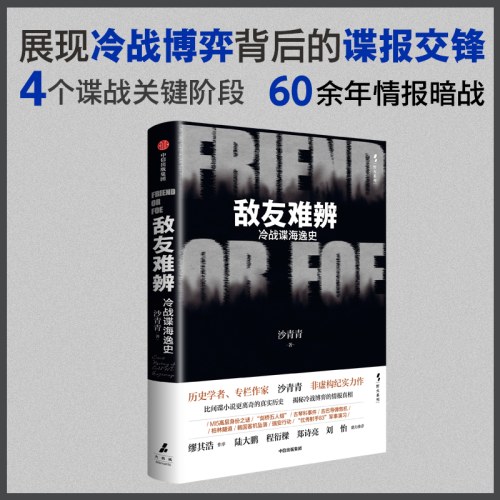 敌友难辨