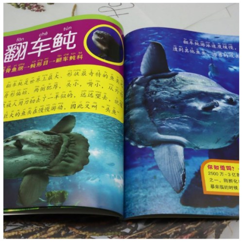 小眼睛看世界:精华版.海洋动物大百科
