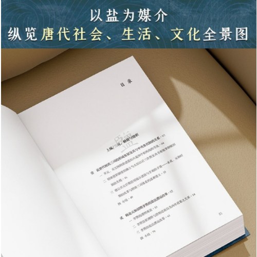 盐与唐帝国：唐代的盐法、财政与国家复兴