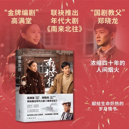 南来北往（白敬亭、金晨领衔主演年代大剧《南来北往》同名小说，时代列车上的人生百态 大杂院里的人情冷暖）