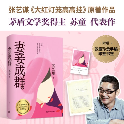 妻妾成群（茅盾文学奖得主苏童代表作，张艺谋电影《大红灯笼高高挂》原著小说）