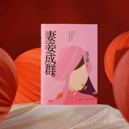 妻妾成群（茅盾文学奖得主苏童代表作，张艺谋电影《大红灯笼高高挂》原著小说）
