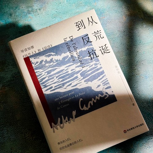 从荒诞到反抗：导读加缪《局外人》和《鼠疫》