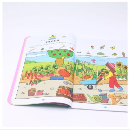 专注力100训练大书 2岁+/3岁+/4岁+/5岁+/6岁+ 全5册