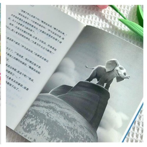 国际大奖小说--独一无二的露比