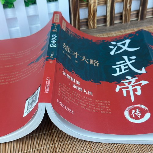 雄才大略：汉武帝传