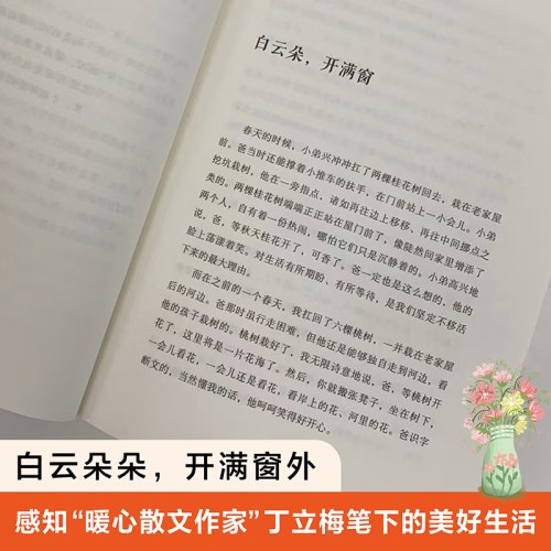 白云朵，开满窗
