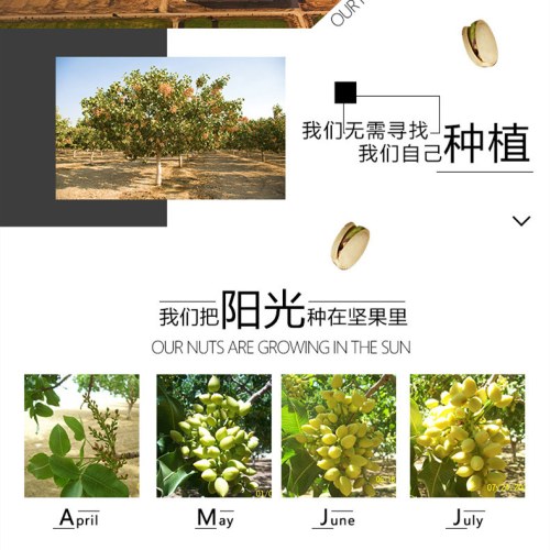 三只松鼠 开心果100g/袋