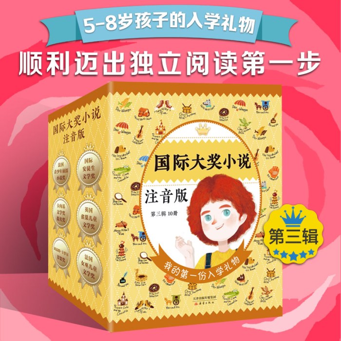 国际大奖小说注音版第三辑（套盒）