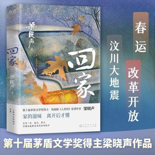 梁晓声作品：回家