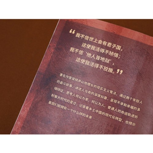 我和我的命（梁晓声新作，80后的《人世间》、女版雷佳音的亲情、爱情与奋斗）