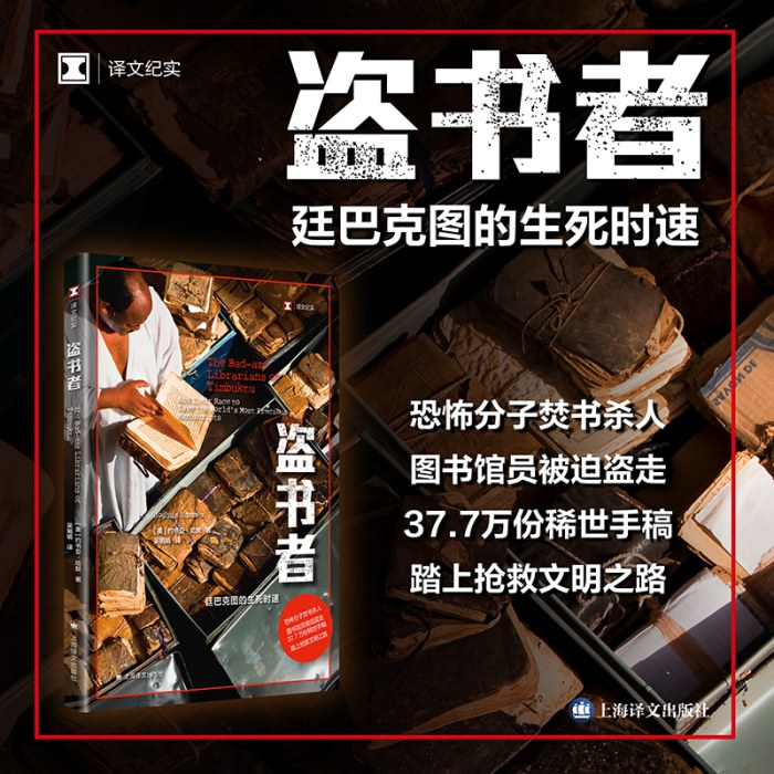 盗书者：廷巴克图的生死时速（译文纪实系列·历史）
