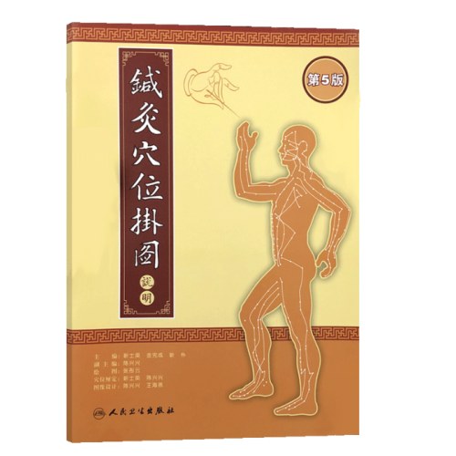 针灸穴位挂图