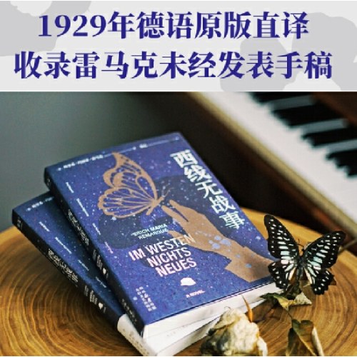 西线无战事（《悉达多》译者姜乙译作，2023奥斯卡获奖影片原著）