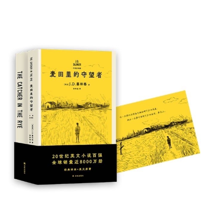 麦田里的守望者（中英双语版）（全两册）