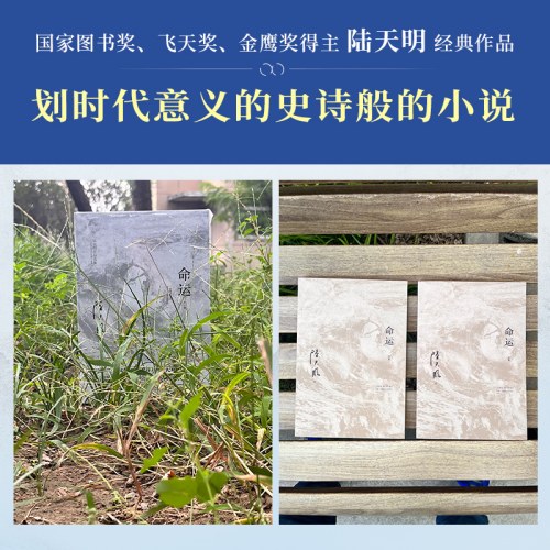 陆天明当代作品精选：命运（2023全2册）