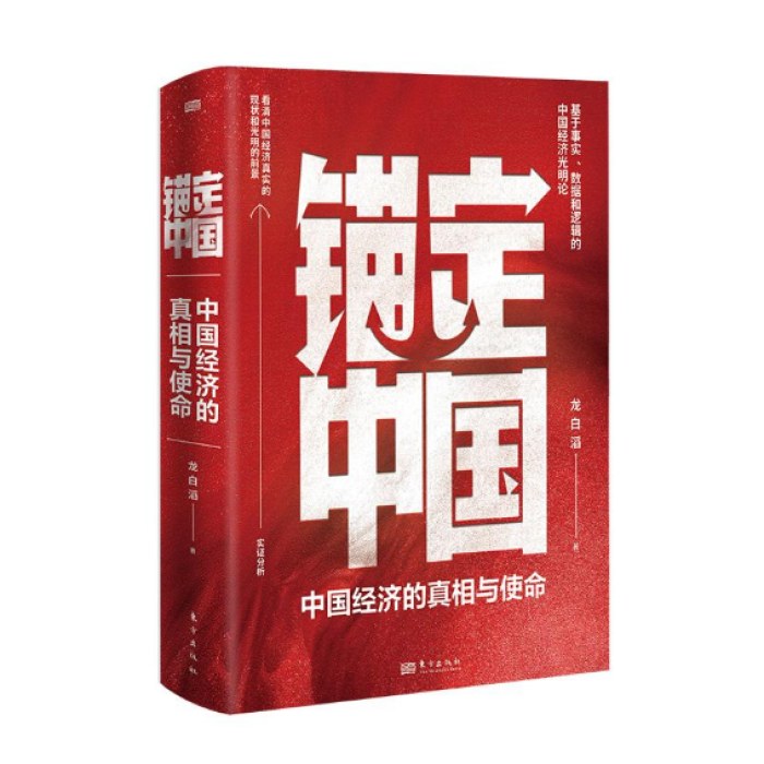 锚定中国：中国经济的真相与使命