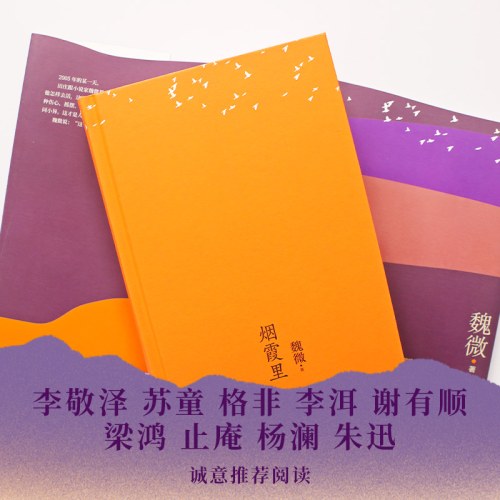 烟霞里（第十一届茅盾文学奖十强作品 ，抒写一个时代下女主繁茂又寂静的匆匆一生）