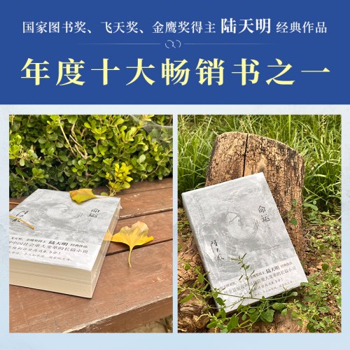 陆天明当代作品精选：命运（2023全2册）
