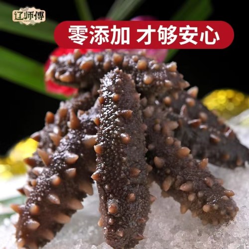 大连野生即食海参 0激素 0添加