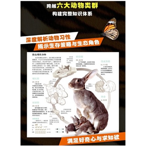 探索·发现 动物西班牙Sol90公司科普