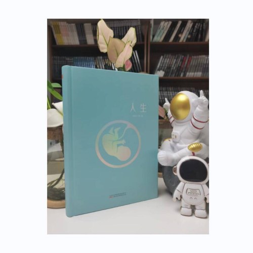 人生