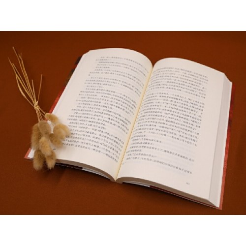 我和我的命（梁晓声新作，80后的《人世间》、女版雷佳音的亲情、爱情与奋斗）