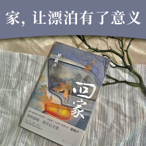 梁晓声作品：回家
