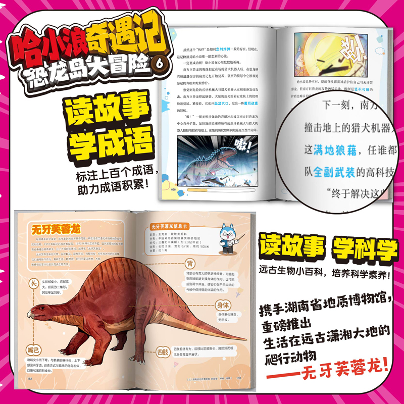 哈小浪奇遇记恐龙岛大冒险6