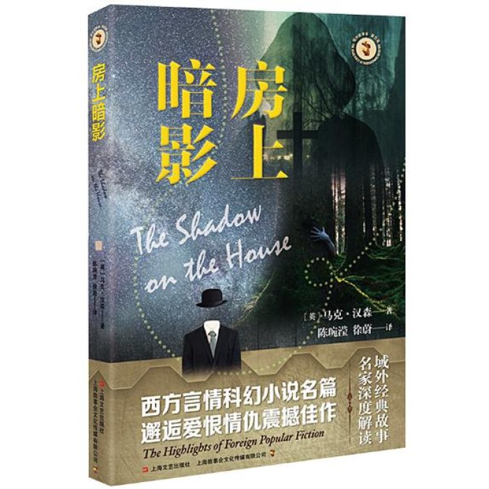 房上暗影