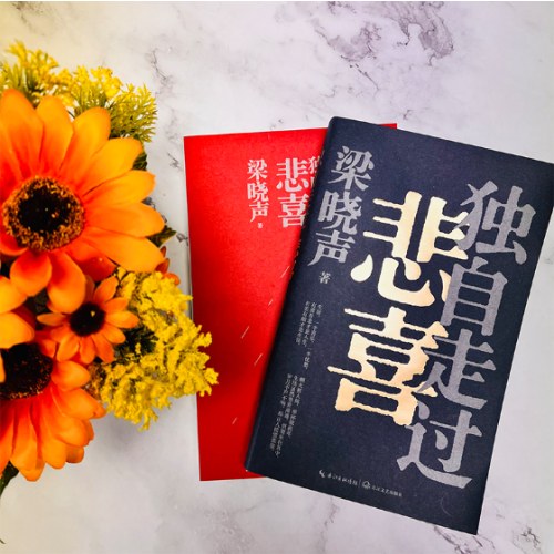 梁晓声新作《独自走过悲喜》