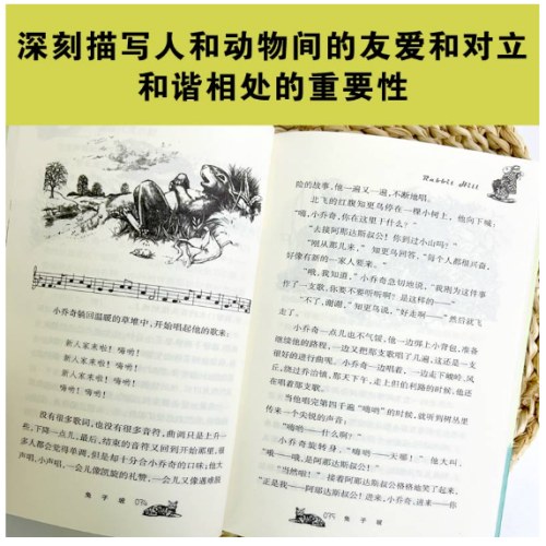 国际大奖小说--兔子坡