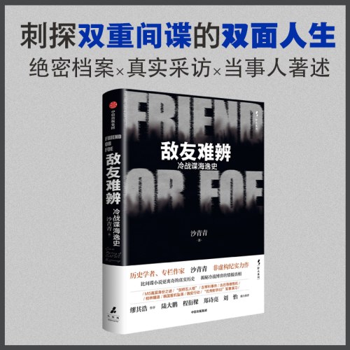 敌友难辨