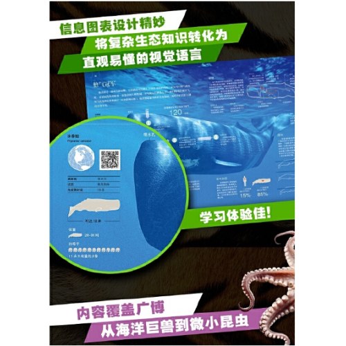 探索·发现 动物西班牙Sol90公司科普