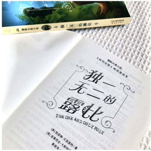 国际大奖小说--独一无二的露比