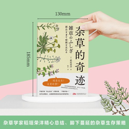 杂草的奇迹