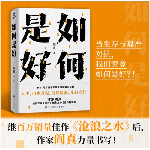 如何是好+沧浪之水：阎真作品集 2册