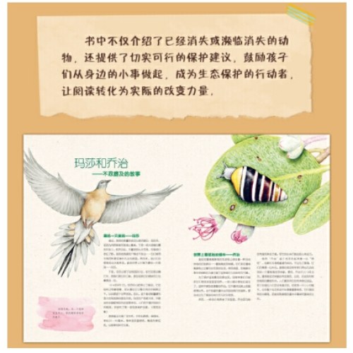 即将消失的它们 适合孩子的科普书，走进自然，了解濒危动物，从小保护动物