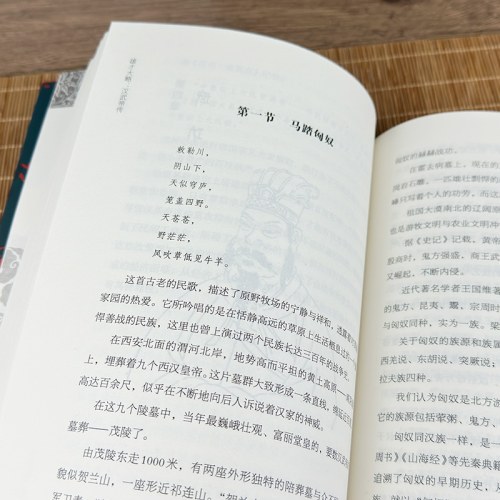 雄才大略：汉武帝传