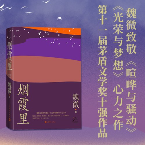 烟霞里（第十一届茅盾文学奖十强作品 ，抒写一个时代下女主繁茂又寂静的匆匆一生）
